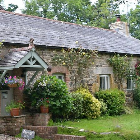 Bed and Breakfast Trewassick Barn New Quay Exteriér fotografie
