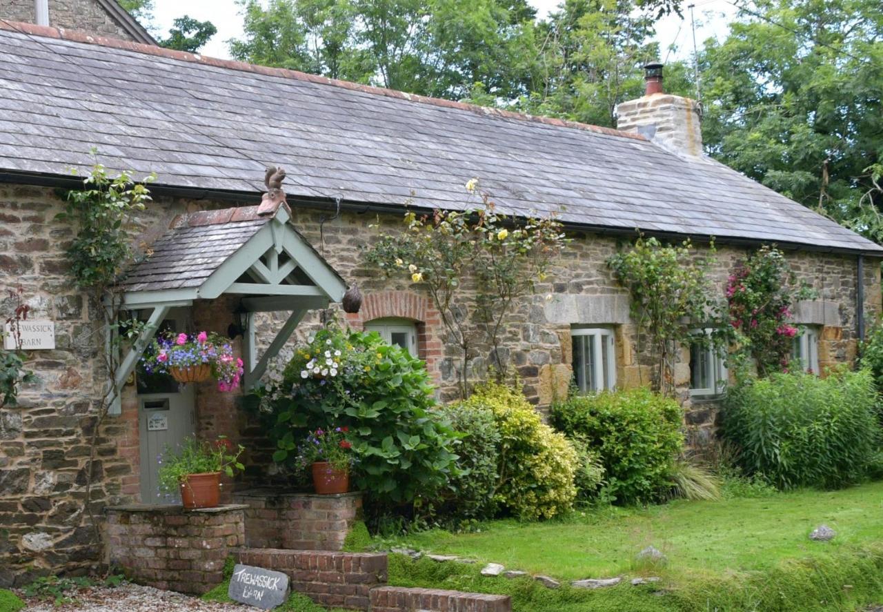 Bed and Breakfast Trewassick Barn New Quay Exteriér fotografie